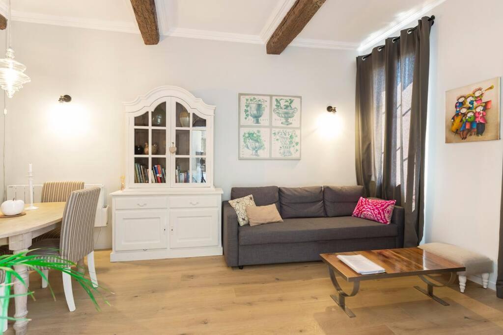 Typical 18th Century Flat, Historical Center * Avignon